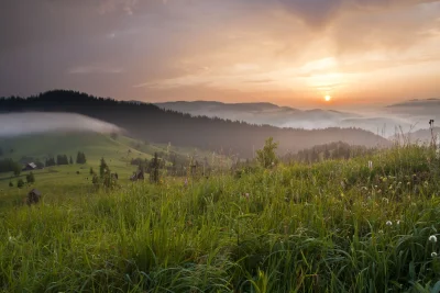 Природа рассвет