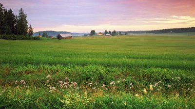 Холмистая равнина Карелии