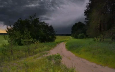 Деревня Рязанская область вечер