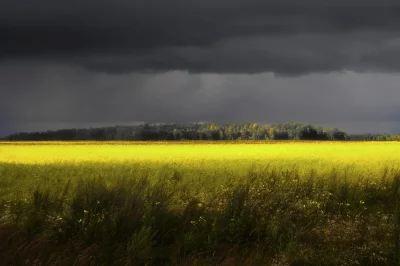 Кольчугино перед грозой