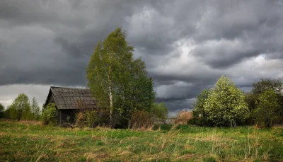 Деревня изба река береза