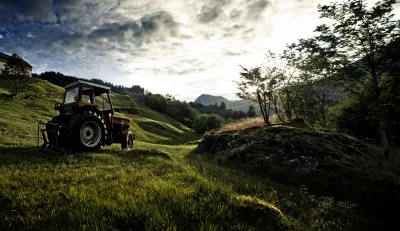 Трактор Мазелов