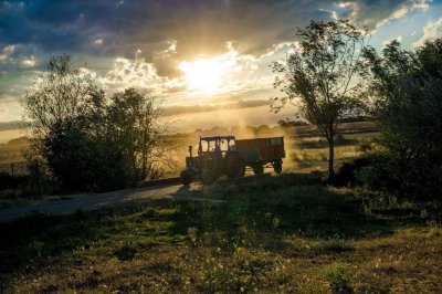 Трактор в деревне