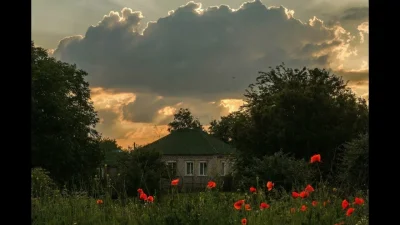 Затишье перед грозой в деревне