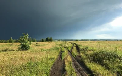 Сельская дорога