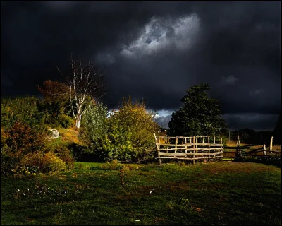 Природа деревня