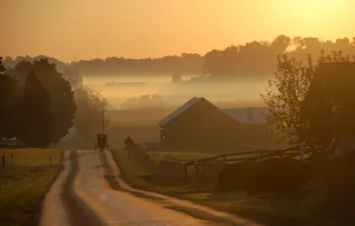 Туман в деревне