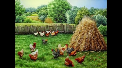 Эдгар Хант птичий двор