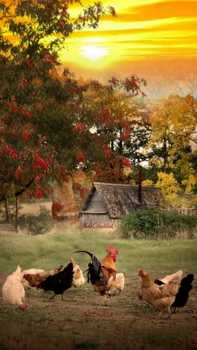 Осень в деревне