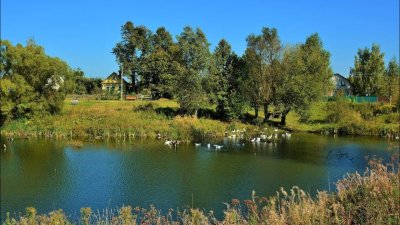 Белоруссия деревня пруд