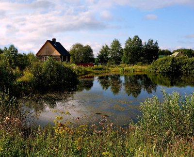 Сивково деревня пруд