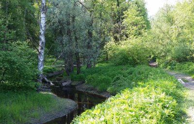 Ручьи в деревне