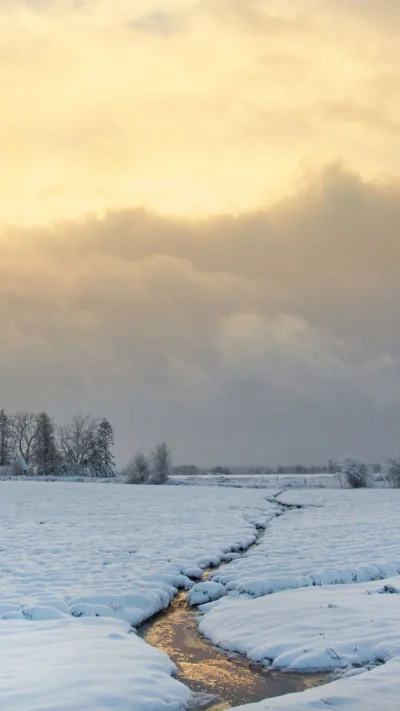 Зимнее поле