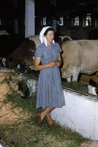 Доярки колхозницы