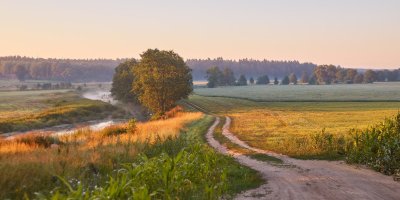 Летнее утро в деревне