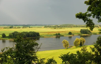 Речной пейзаж