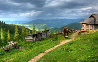 Село Карпаты Украина