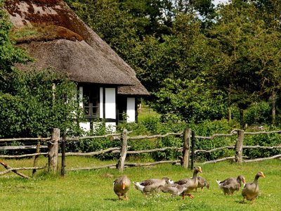 Деревенский домик