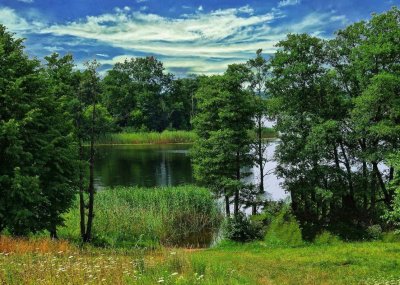 Пейзажи Беларуси