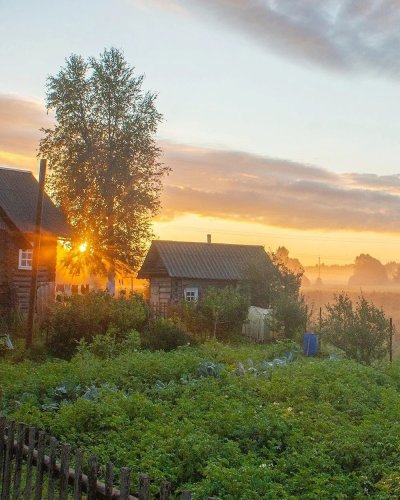 Лето в деревне