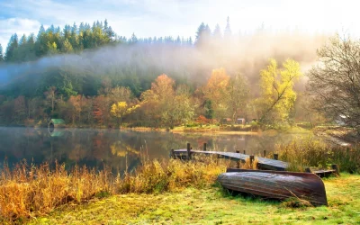 Пушгоры осень