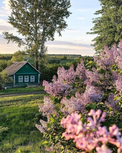 Деревенский пейзаж