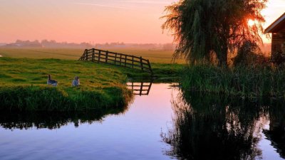 Природа деревня