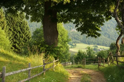 Природа деревня