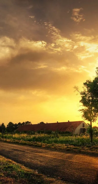 Лето в деревне