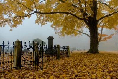 Осеннее кладбище