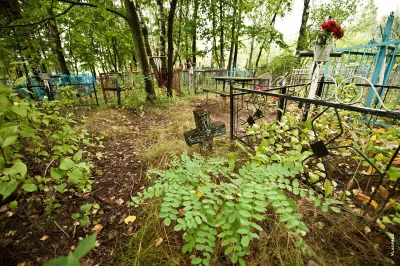 Старое кладбище, деревня старый Погост