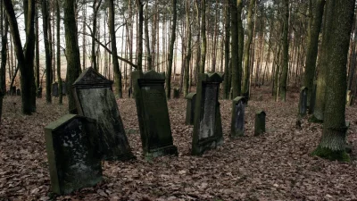 Старообрядческое кладбище в лесу