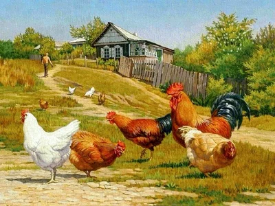 Вальтер Хойбах птицы живопись