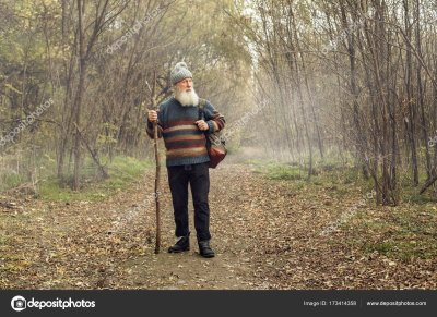 Старик в лесу