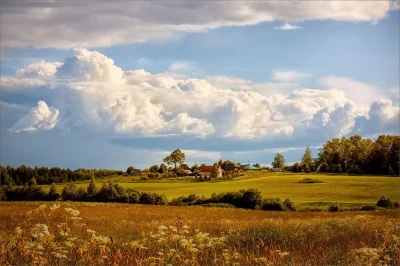 Летний день в деревне