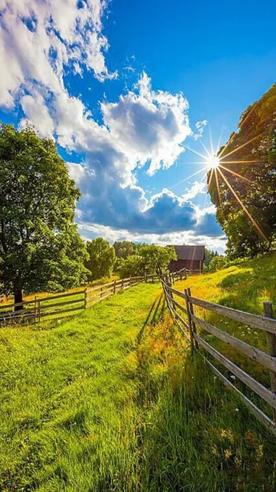 Природа деревня