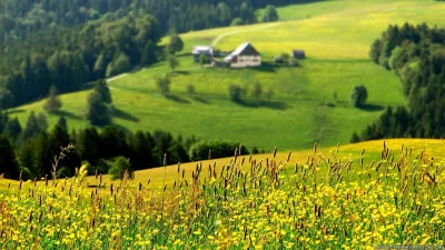 Родные просторы Пушгоры панорама