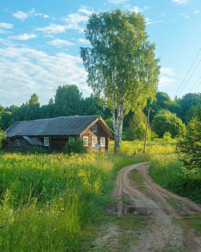 Лето в деревне