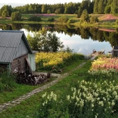 Деревня летом