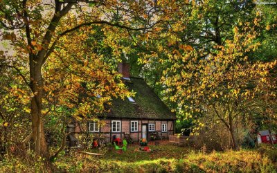 Осень в деревне