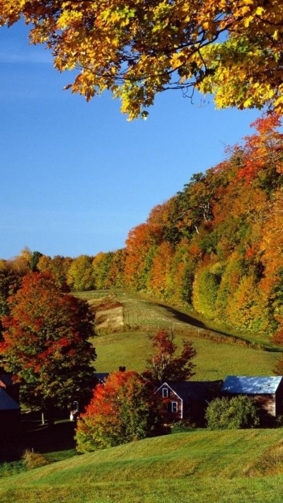 Осень в деревне