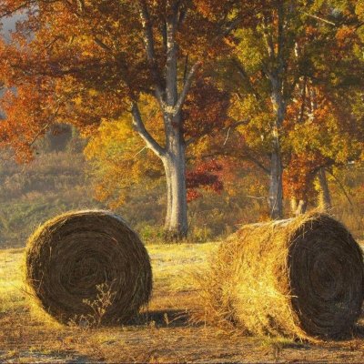 Осеннее поле