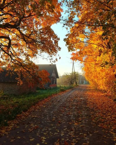 Смоленская деревня осень