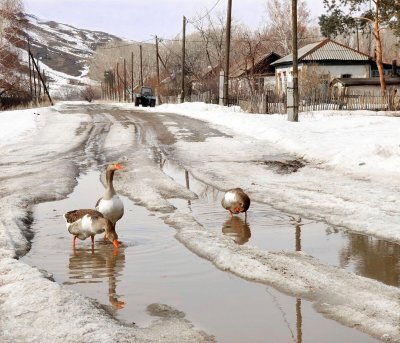 Весна в деревне