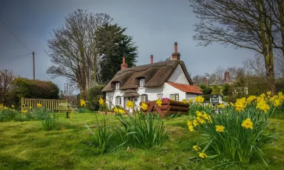 Англия Девоншир Весна
