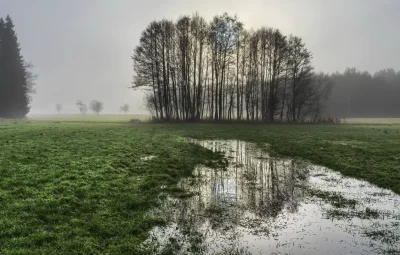 Поле с лужами