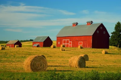 Красный Амбар Амишей