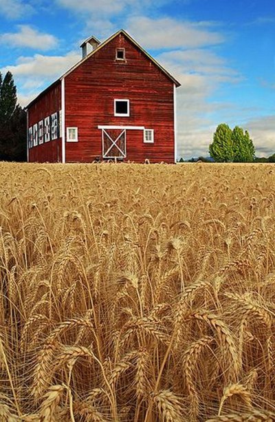 Амбар на ферме