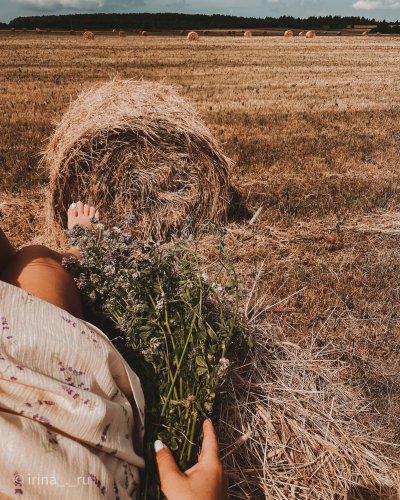 Стог сена фото в поле