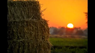 Стог сена в деревне